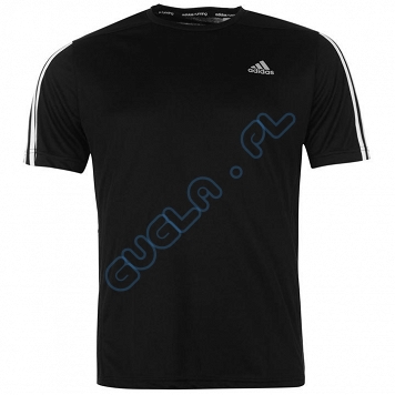 Koszulka Adidas Questar